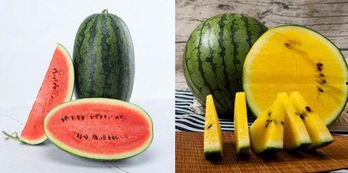 免费吃瓜论坛,揭秘娱乐圈幕后故事，带你畅游八卦海洋